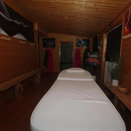 Zen Проживание в семье *