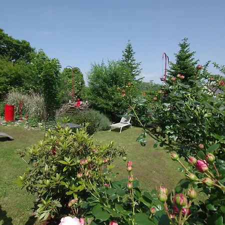 Homestay szállás Zen *