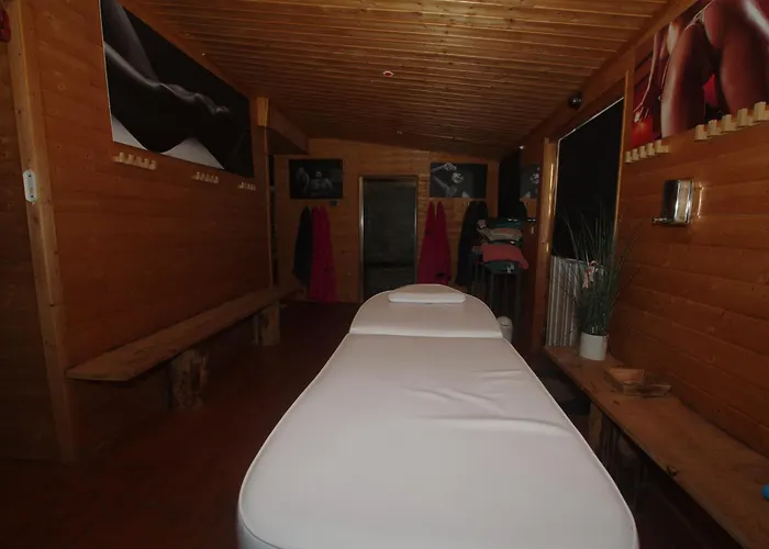 Zen Проживание в семье *